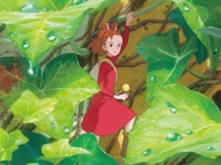 TUSCIA FILM FEST KIDS: OMAGGIO ALLO STUDIO GHIBLI